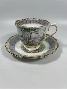 Royal Albert Silver Birch Bone China Tea Cup & Saucer Set Made in England - Picture 1 of 7