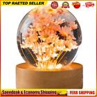 Flower Crystal Ball Night Light Flower Desk Lamp Night Light (Round Dandelion)