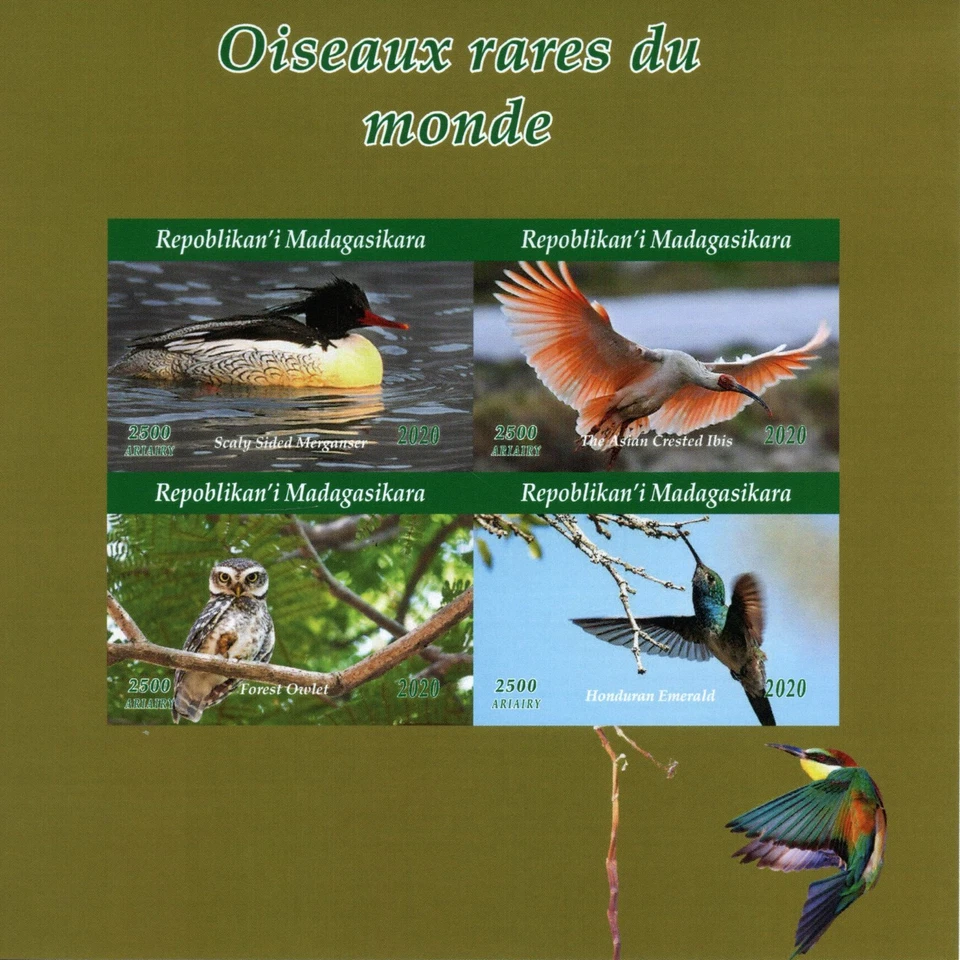Madagascar Rare Birds on Stamps 2020 MNH Hummingbirds Owls Ducks 4v IMPF M/S I - Image 1 of 1