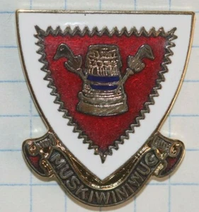 EJÉRCITO DE ESTADOS UNIDOS TIPO 326O BATALLÓN MÉDICO 101O CREST AEROTRANSPORTADO DI - Imagen 1 de 2