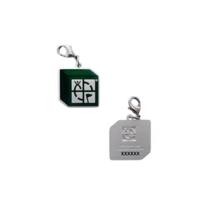 2025 Block Parties Nano Geocoin/Zipper pull/Charm  Anhänger Trackbar Armband - Bild 1 von 1