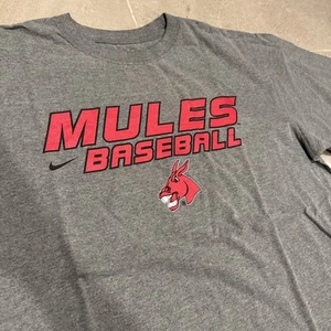 Men’s Large Nike T-Shirt CMSU Mules Baseball - Picture 1 of 4