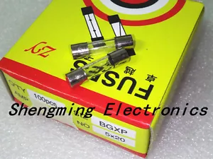100 piezas 20A 20 amperios 250V 5 x 20 mm fusible tubo de vidrio soplado rápido - Imagen 1 de 1