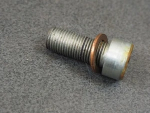 KAWASAKI KH250 72 44041-040 BOLT FORK CYLINDER 9846 - Bild 1 von 4