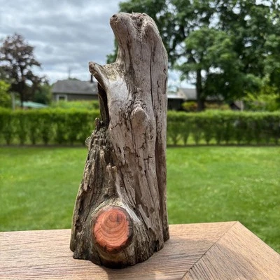 Natural Driftwood 11x4x5 – Textured, Compact Wood for Reptiles or Rustic Decor - Image 1 of 4