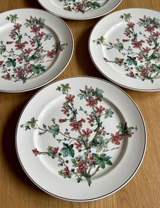 Set of 4 Villeroy & Boch Botanica 10.5" Dinner Plates Malva Silvestris All VG - Picture 1 of 4