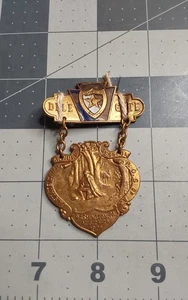1909 POSA Patriotic Order of America Washington PA Delegate Medal - Picture 1 of 2