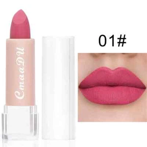 Lápiz labial mate suave maquillaje larga duración hidratante regordete cobertura lápices labiales - Imagen 1 de 21