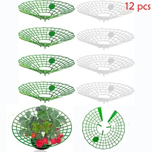 12pcs Strawberry Support Planting Rack Fruit Support Plant Flower Climbing Stand - Picture 1 of 11