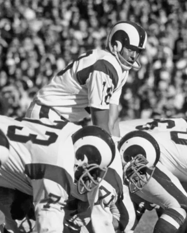 Los Angeles Rams ROMAN GABRIEL 8x10 Photo NFL Football Print Poster Cover