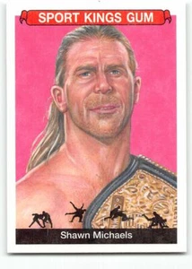 2018 SportKings Sport Kings #25 Shawn Michaels Wrestling - Picture 1 of 2