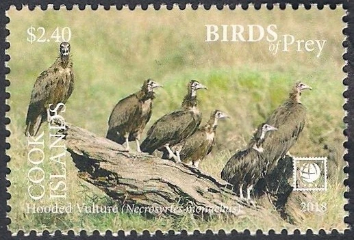 Cook Islands 2018 - Bird of Prey - Hooded Vulture - Image 1 of 1