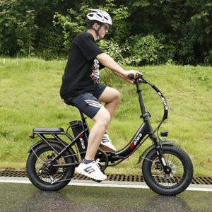 16" 750W Powerful Folding Electric Bicycle e-Bike Fat Tire City EBike 7Speed US - Picture 1 of 11
