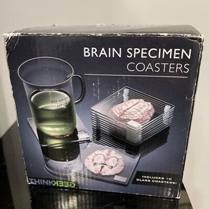 Anatomic Brain Specimen Coasters Set of 10 pieces with Original Box - Picture 1 of 6