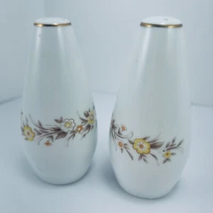 Par de saleros y pimenteros Golden Otoño cerámica etiqueta Japón porcelana Sango - Imagen 1 de 6