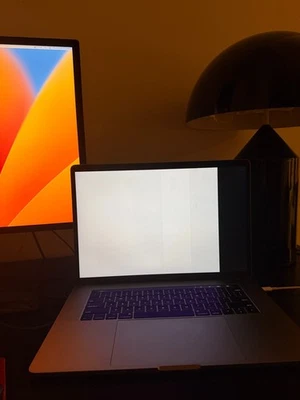 Apple MacBook Pro 15(256GB 硬盘,英特尔酷睿 i7 第 7 代,2.80 GHz,16GB)... — 第 1/4 张图片