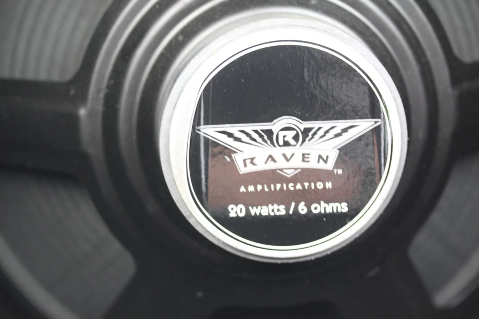 Raven guitar amp speaker for RG20 12" 6Ohms 20 watts mint condition - Image 1 of 4