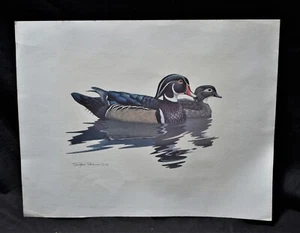 Impresión de pato Richard Sloan, 1981, sin marco, pato de madera macho y hembra - Imagen 1 de 14