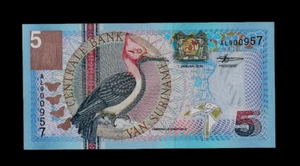 BILLETE DE SURINAM (1) 5 FLORINES 1. 1. P 146 2000 nítido sin circular - Imagen 1 de 2