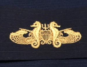 US Coast Guard Port Security Badge Officer ODU Sew-On USCG - Bild 1 von 2