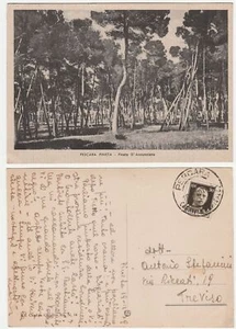 PESCARA PINETA - PINETA D'ANNUNZIANA - VIAGG. 1939 -17339- - Imagen 1 de 1