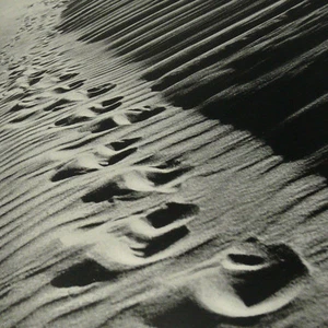 Sand Dunes 1940s Photo Book by Erna Lendvai Dircksen Prussia Lithuania Pomerania - Picture 1 of 1
