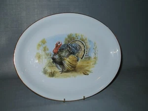 Homer Laughlin Skytone blue oval turkey platter - Picture 1 of 1