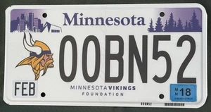 Minnesota Vikings Foundation License Plate - Picture 1 of 2