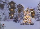 BANBERRY DESIGNS beleuchtete Weihnachtsszene LED Leinwandbild mit Kabinen Kardinäle