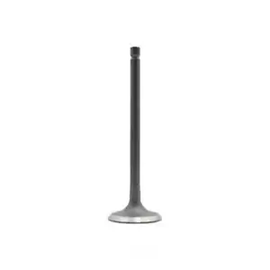 Engine Intake Valve fits 1992-2001 Suzuki Sidekick Esteem Swift DNJ ENGINE COMP - Picture 1 of 1