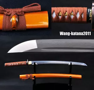 Espada samurái japonesa afilada 30"" lista para la batalla Wakizashi plegada T1095 de tang completa - Imagen 1 de 12