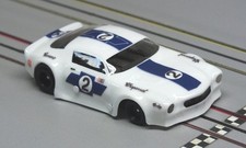 ho lexan painted race car bodies