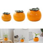 Flowerpot Orange Shape Ceramic Indoor Plant Pot for Garden Indoor Decoration
