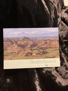 Vintage Theodore Roosevelt National Park Postcard Unposted RPPC - Picture 1 of 3
