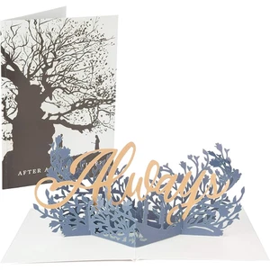 Tarjeta de felicitación Simon & Schuster HP Always Pop-Up - Imagen 1 de 2