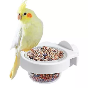 Large Bird Feeding Dish Cup Bird Cage Parrot Food Bowl for Parakeet African Grey - Picture 1 of 14