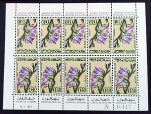 MAROC  1964 Flowers  Gladiolus segetum NEUF ** MNH Q20A - Imagen 1 de 1