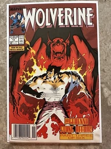 Stand de periódicos Wolverine #13 (Marvel Comics 1989) - Imagen 1 de 24