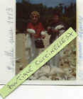 PHoto Kodak des Pigeons Blancs à SEVILLE Espagne en Mai 1983