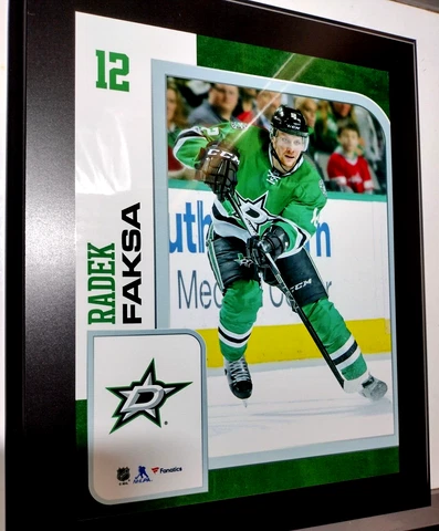 3 Dallas Stars NHL Fanatics Authentic All Stars 10 x 13 Plaques RARE! + Polo/Cap Cover