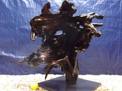 XX-Large Driftwood Mounted on Slate 19"x19"x16" Aquarium Reptile Natural Art - Image 1 of 4