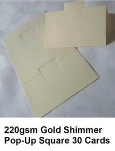 FRED HOSKING P-AGIG IVORY GOLD PLACE TABLE SEATING CARDS SHIMMER EMBOSSED 43A050 - Picture 1 of 2