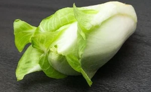 1000 SEMI-DI CICORIA Pan di Zucchero +OMAGGIO - Imagen 1 de 1