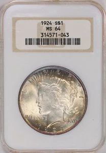 Dólar de la Paz 1924 $1 NGC MS64 losa grasa antigua de buen tono - Imagen 1 de 5