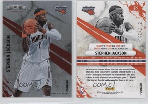 2010-11 Panini Rookies & Stars Longevity Ruby /250 Stephen Jackson #38