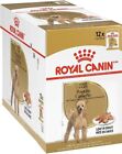 ROYAL CANIN Pudel Nasses Hundefutter für Erwachsene