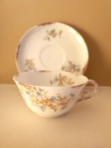 T & V Limoges bone china Cup & Saucer - Picture 1 of 5