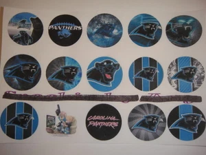 Carolina Panthers Mezcla Espalda Plana o Pin Insignia Cabujones Adornos Imanes - Imagen 1 de 5