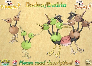 ⭐Shiny/Non-shiny Doduo/Dodrio 6IV XL⭐Let's Go Pikachu/Eevee HOME (💯Legal) - Picture 1 of 21