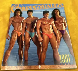 Calendario Chippendales 1991 vintage RARO oggetto da collezione - Foto 1 di 12